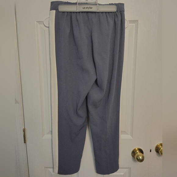 Blue Babaton Trouser Pants with Stripe - Picture 2 of 5